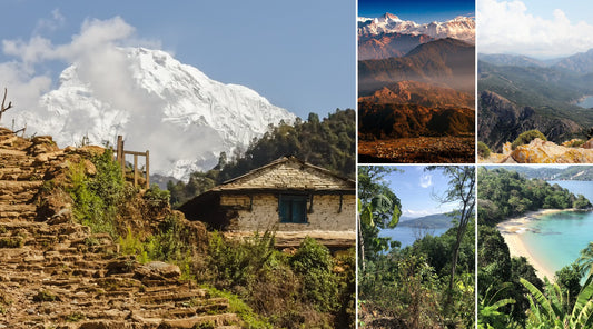D'où Vient Trail and Trek : Une Histoire qui Commence dans les Annapurnas